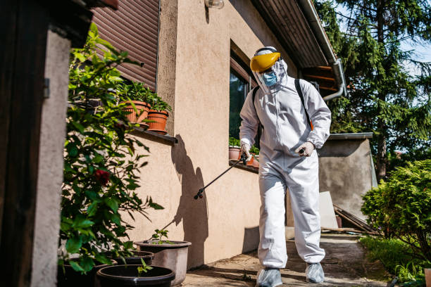 Best Wasp Removal Services  in Dahlone, GA