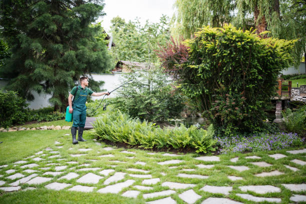 Best Wasp Removal Services  in Dahlone, GA