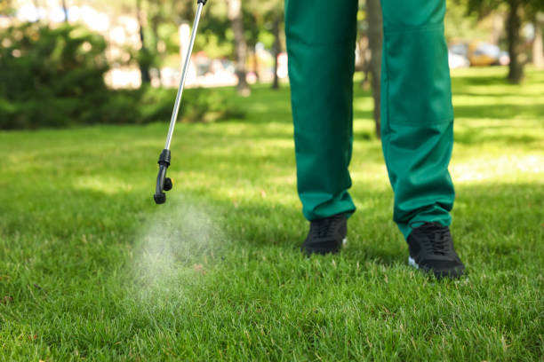 Best Best Pest Control Companies  in Dahlone, GA