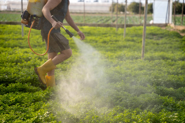 Best Pest Removal Services  in Dahlone, GA