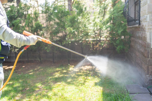 Best Emergency Pest Control  in Dahlone, GA