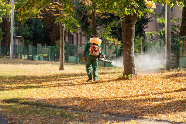 Best Insect Control  in Dahlone, GA