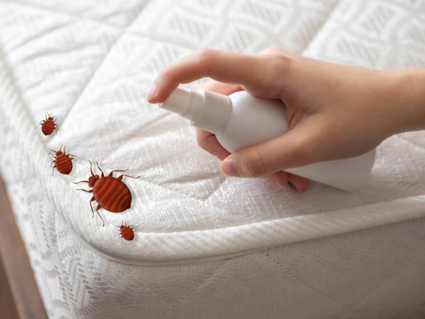 Best Affordable Pest Control Services  in Dahlone, GA