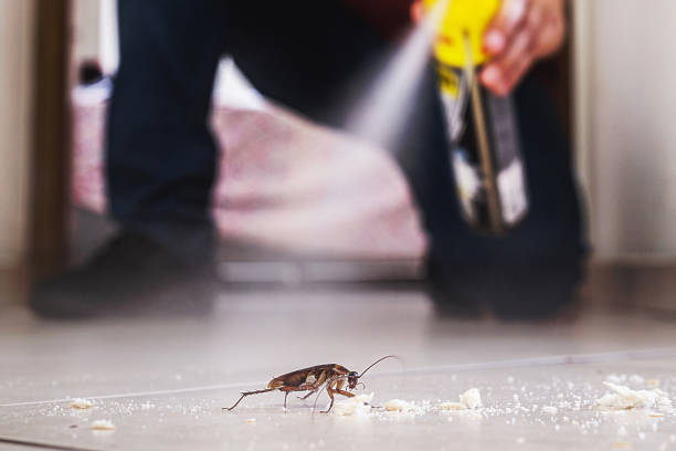 Best Mosquito Control Services  in Dahlone, GA