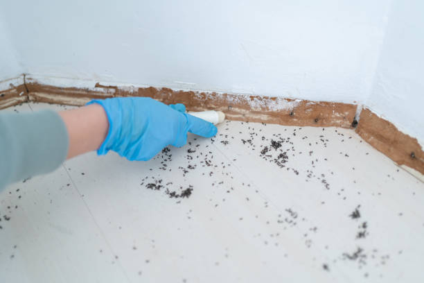 Best Affordable Pest Control Services  in Dahlone, GA